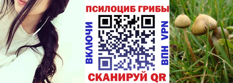Псилоцибиновые грибы ЛСД Куйбышев