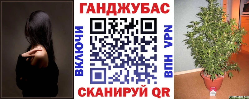 Конопля конопля Куйбышев